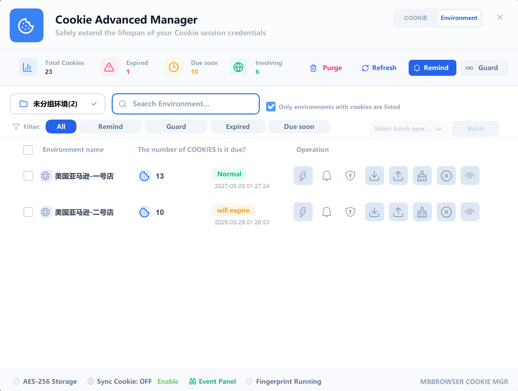 Advanced Cookie Manager Environment View